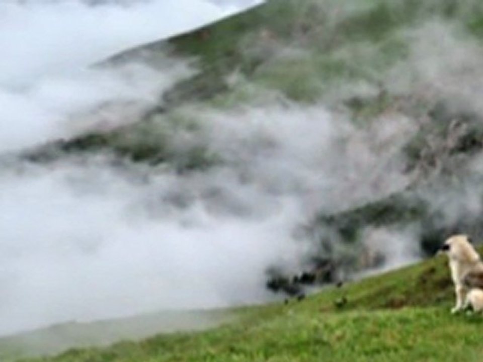 EDİP AKBAYRAM- DUMANLI DUMANLI.