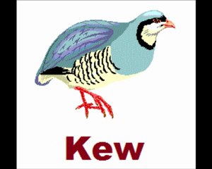 Perwedeya Zimane Kurdi - 1