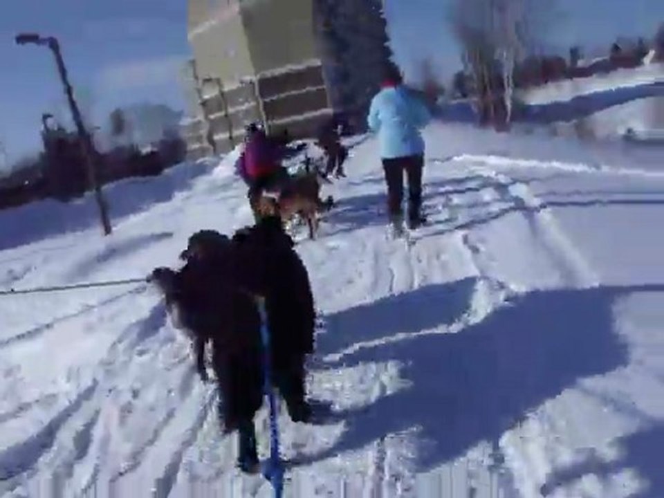 La première course d'AYolie!
