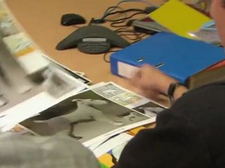 - B-Roll (Anglais)