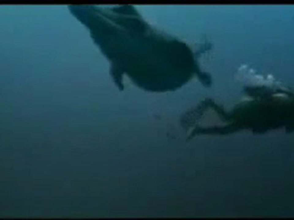 vor 155 Millionen Jahren -Jura - Liopleurodon -Monster der Tiefe - Teil 7 von 9