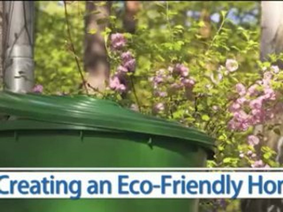 How to Create an Eco Freindly Home - Go Green!
