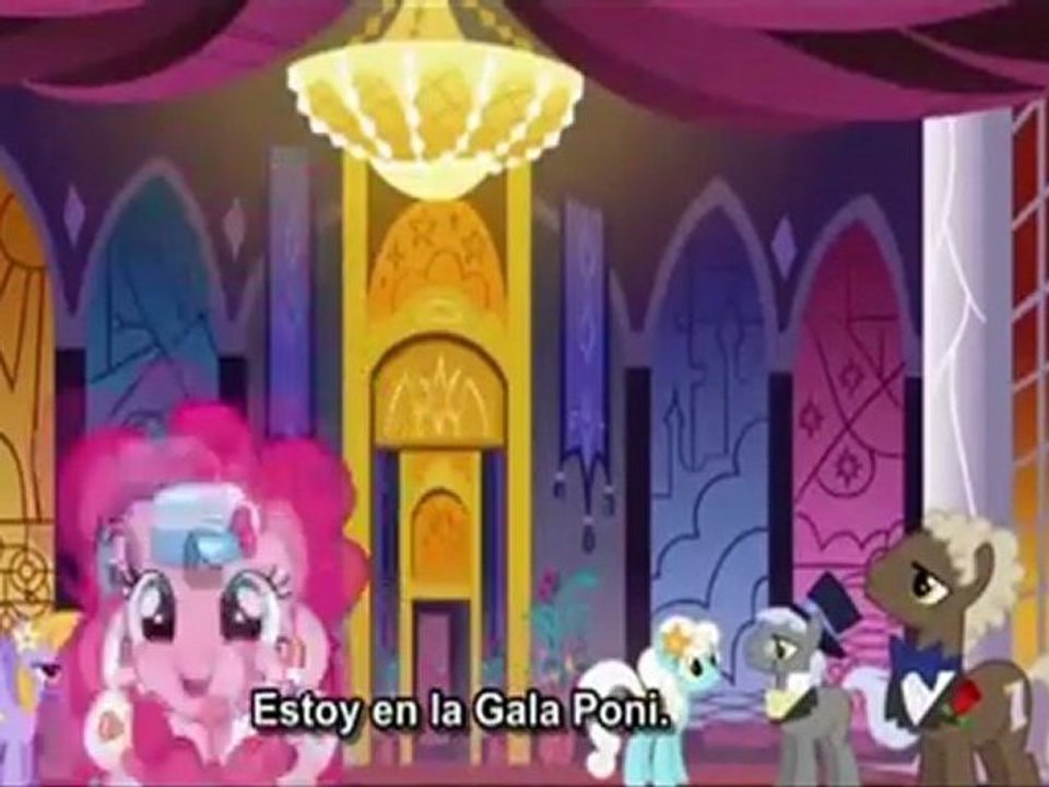 D city ponyrock