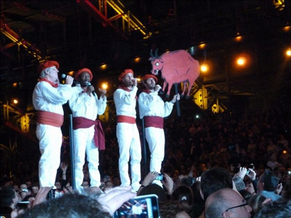 Le Bal des Enfoirés - 2012 - Lyon - (Montage photos)