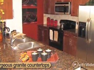 Broadstone Citrus Village Apartments in Tampa, FL - ...