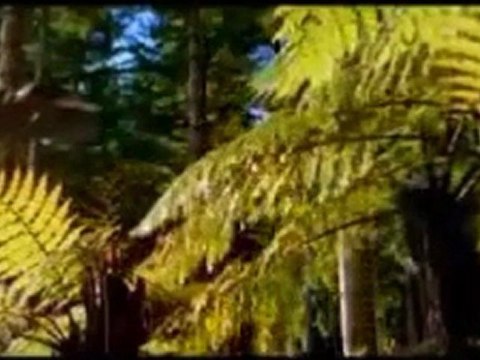 Vor 152 Mio.Jahren - Jura - Im Reich der Giganten-E02-Die Zeit der Titanen