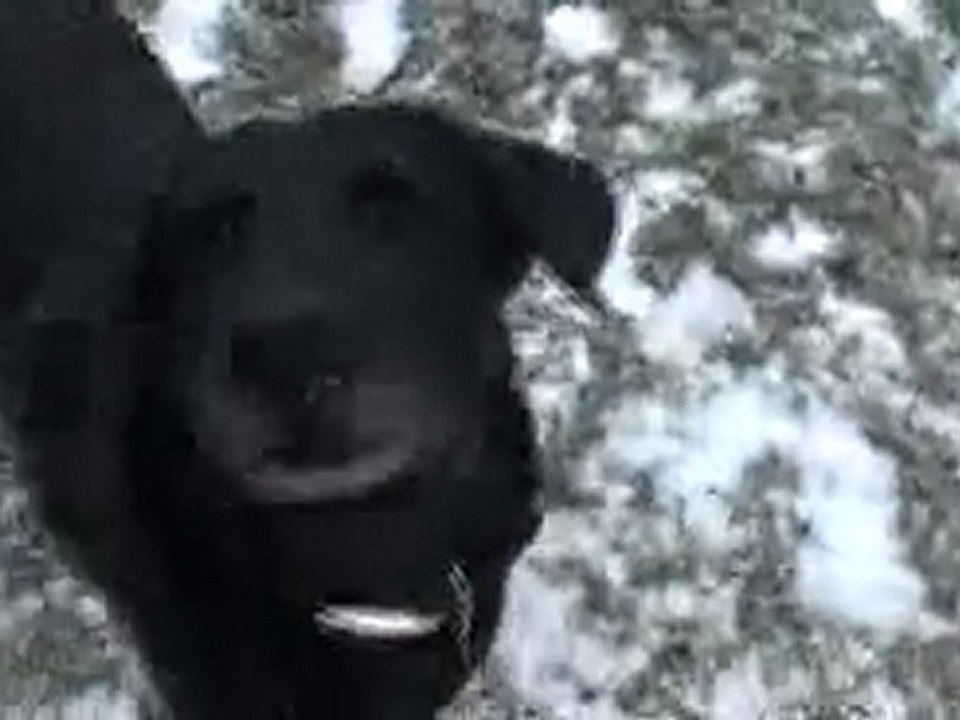LITA Tombe la neige 130212