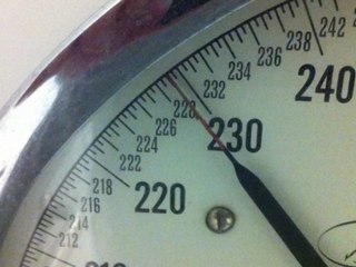 Weighin for 13 feb 2012!!! I am the same as last week! 229 kgs!