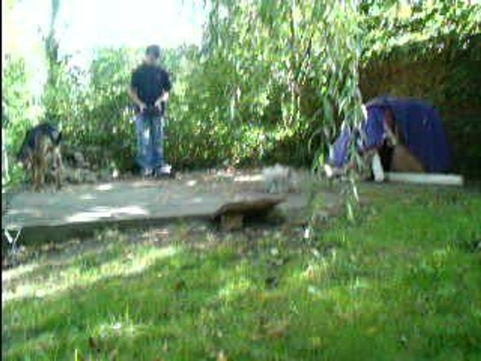 XT dans le jardin
