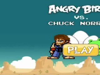 Chuck Norris VS Angry bird