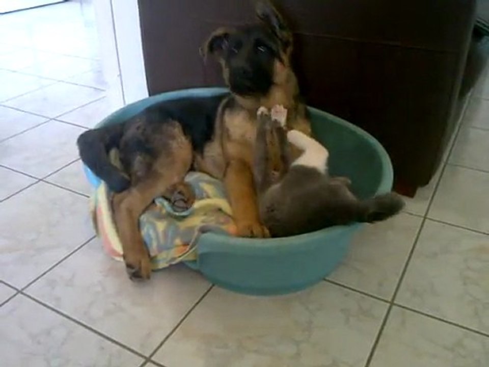 Les deux inséparables brigands