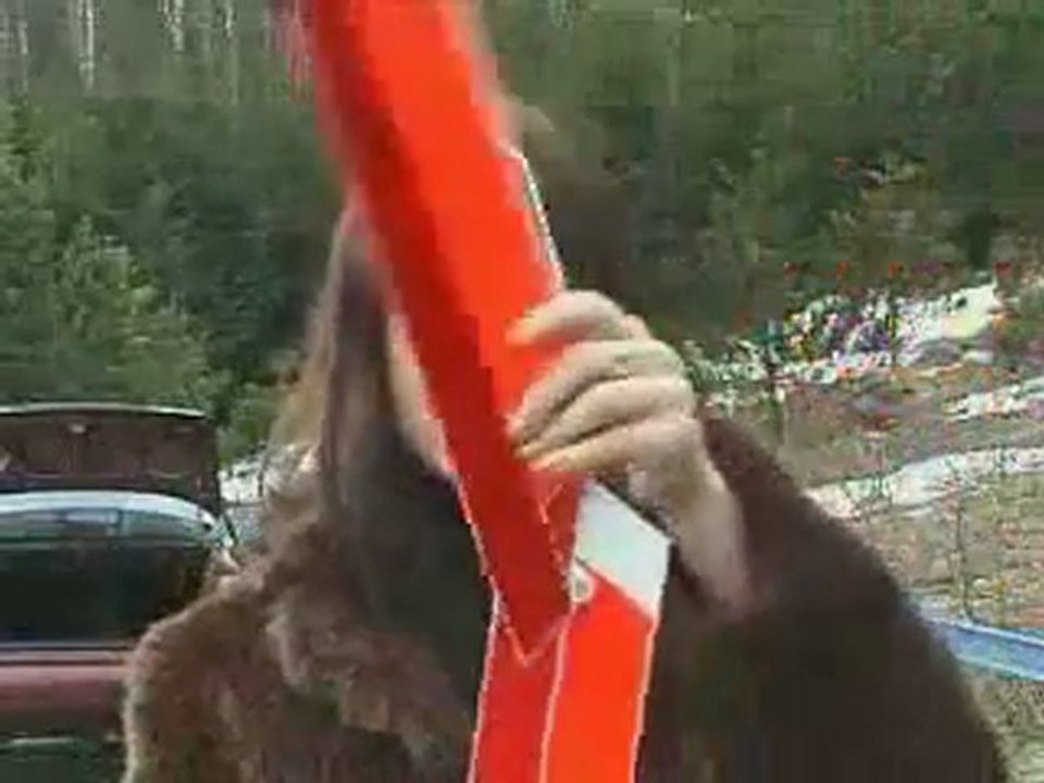 Stp chérie, installes le triangle