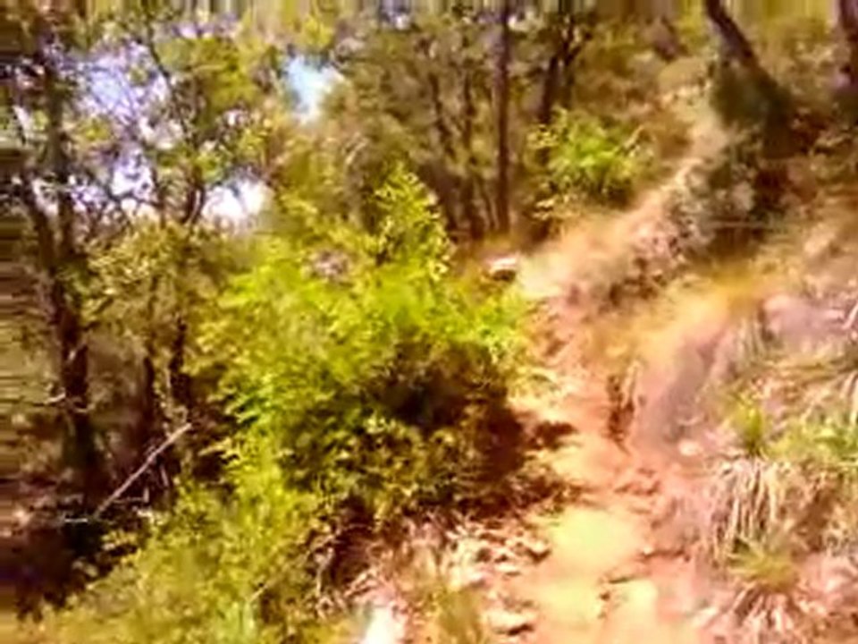 VIDEO0011
