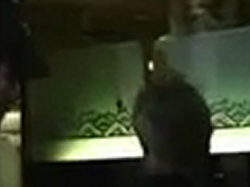 Jakob Dylan Goes To  Mr Chows