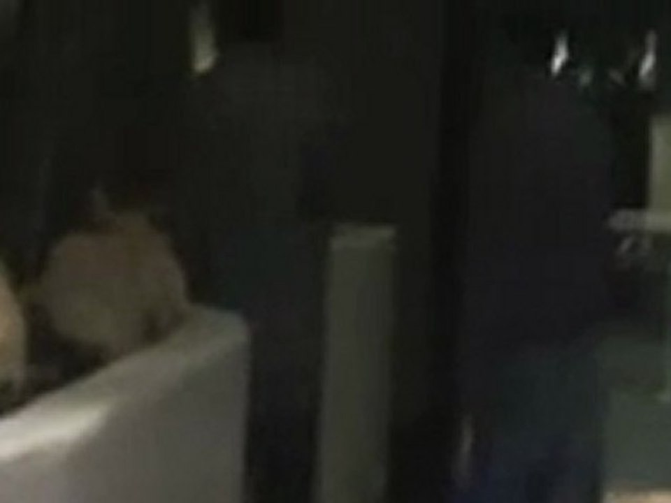 M. Night Shyamalan Eats  At  Mr Chows And Gets A Drink