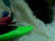 Sneaky Freaky Creeky TRAILER: A Scottish Whitewater Kayaking Film