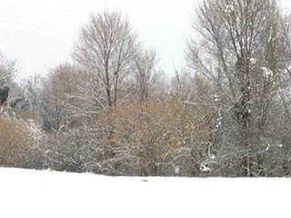 PADERNO DEL GRAPPA - NEVE 12.02.2012 #1