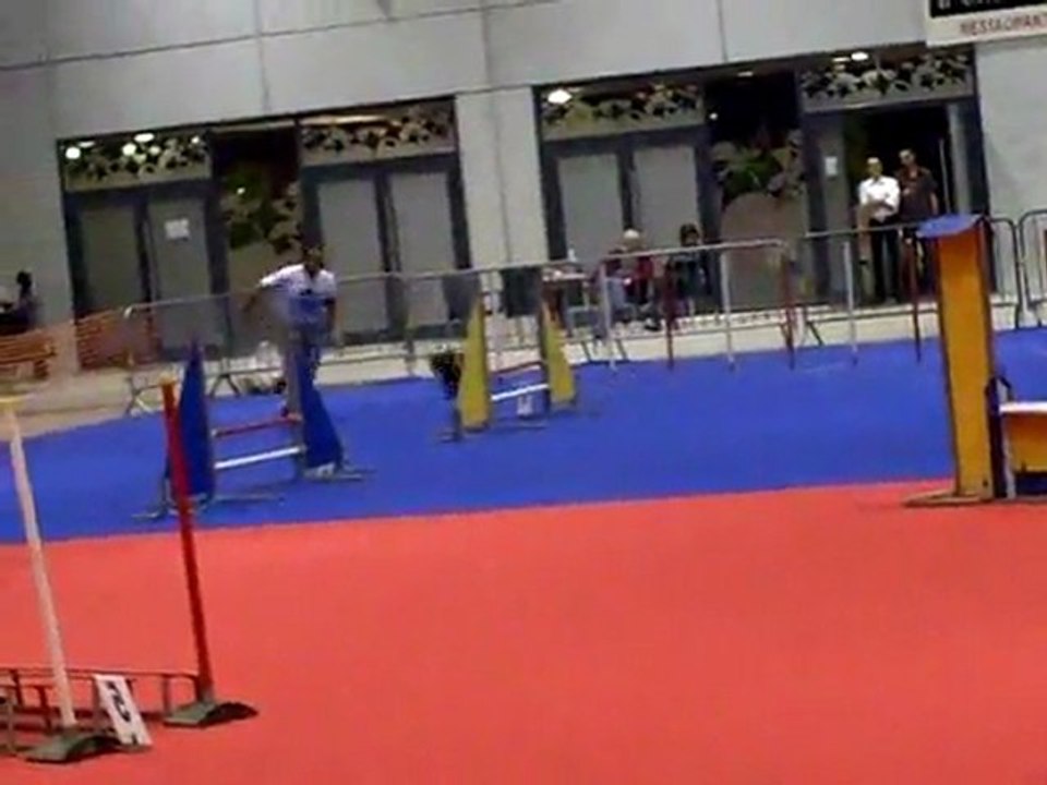 René et Elfe Jumping Concours d'agility  FIM 2011