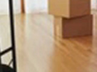 495 Movers Washington