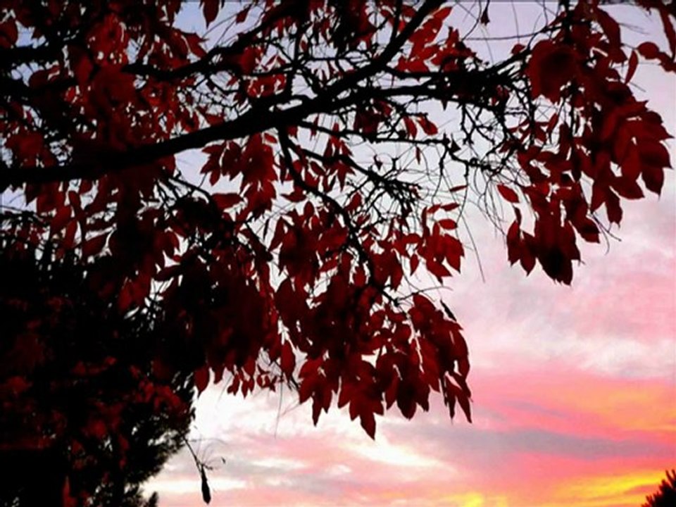 NYONS -TERRE DE LUMIERE ET DE COULEURS - 2011-2012  A