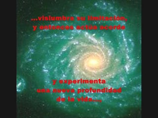 Perspectivas simbólicas