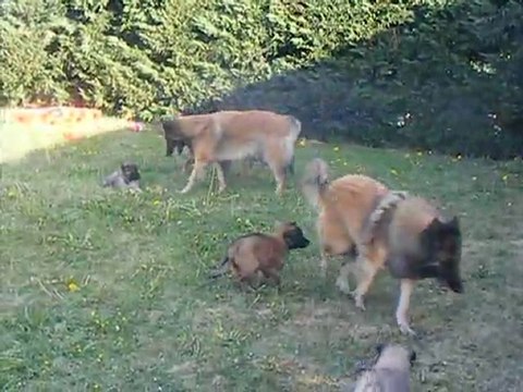 cascada 26 avril 2010 qui joue avec falcon :) souvenirs souvenirs ....