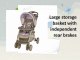Baby Trend Strollers - Baby Trend Stride Sport Stroller, Chickadee