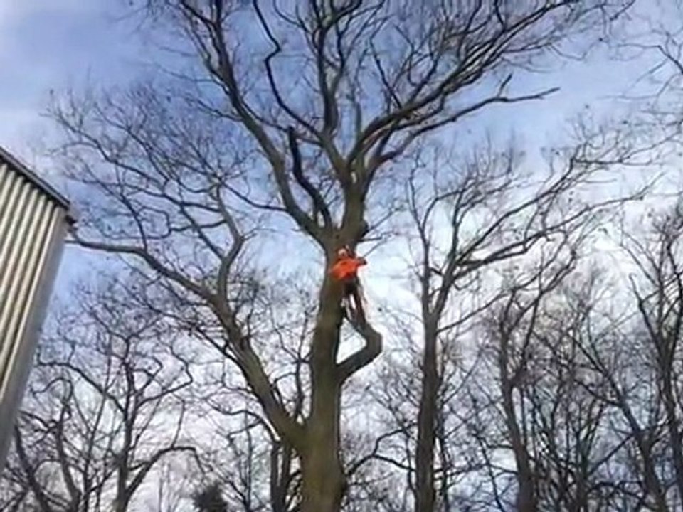 Tree ascending using Wraptor