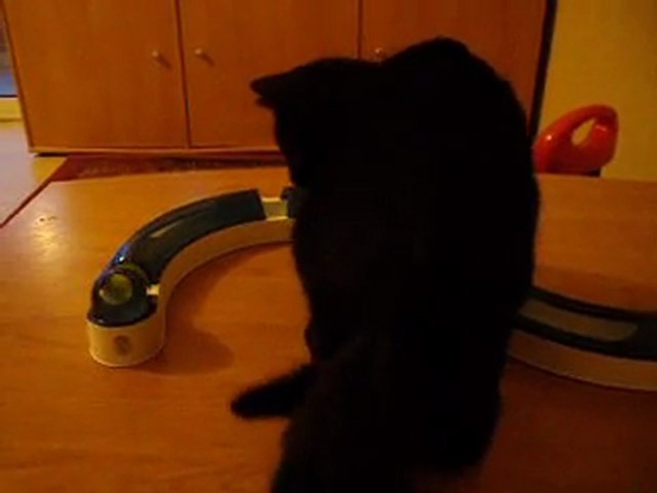 gigi decouvre le circuit