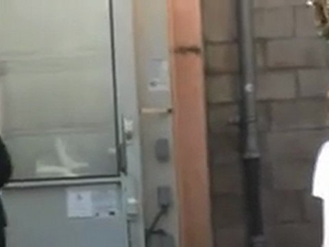 Jaime Lee Curtis and Son In Beverly Hills