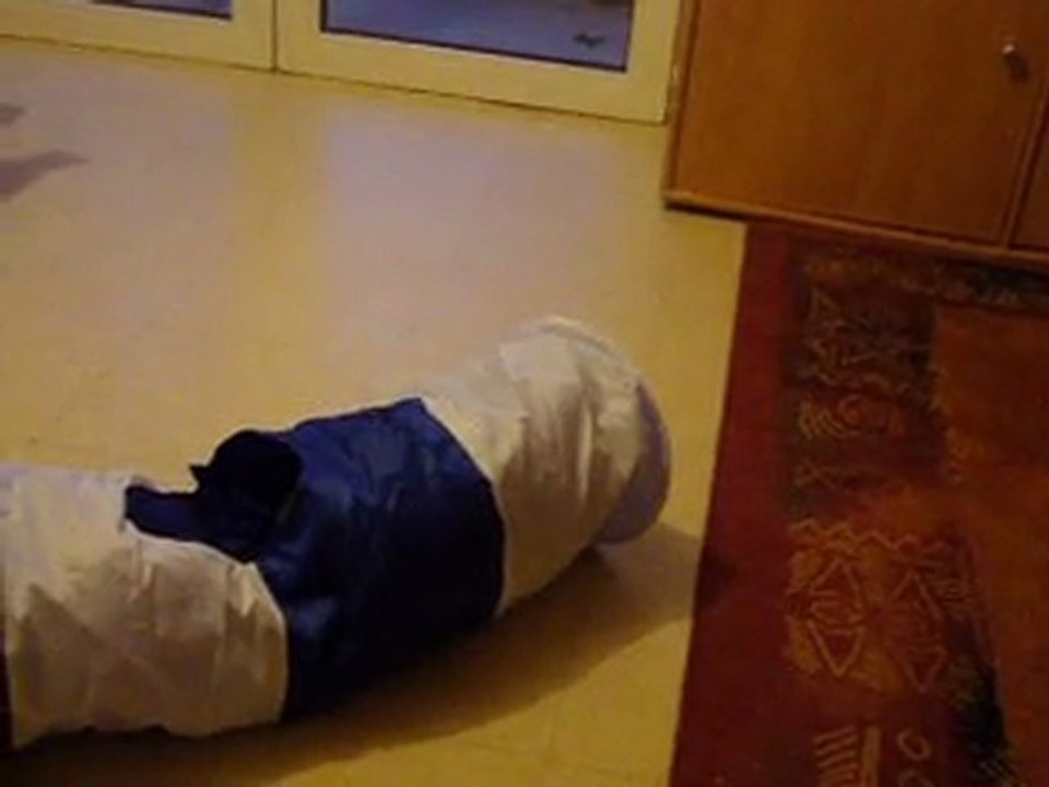 gazouille et la decouverte du tunnel