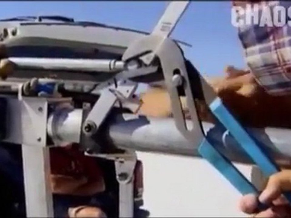 Vor 145 000 006 Jahren BC - oberes Jura - Die Geschichte von Big Al