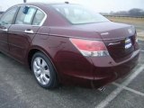 2009 Honda Accord for sale in Tinley Park IL - Used Honda by EveryCarListed.com