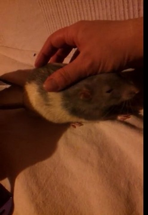 video-2012-02-13-20-03-44
