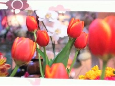 Flores y regalos para San Valentín, 14 de Febrero, dia del amor y la amistad.