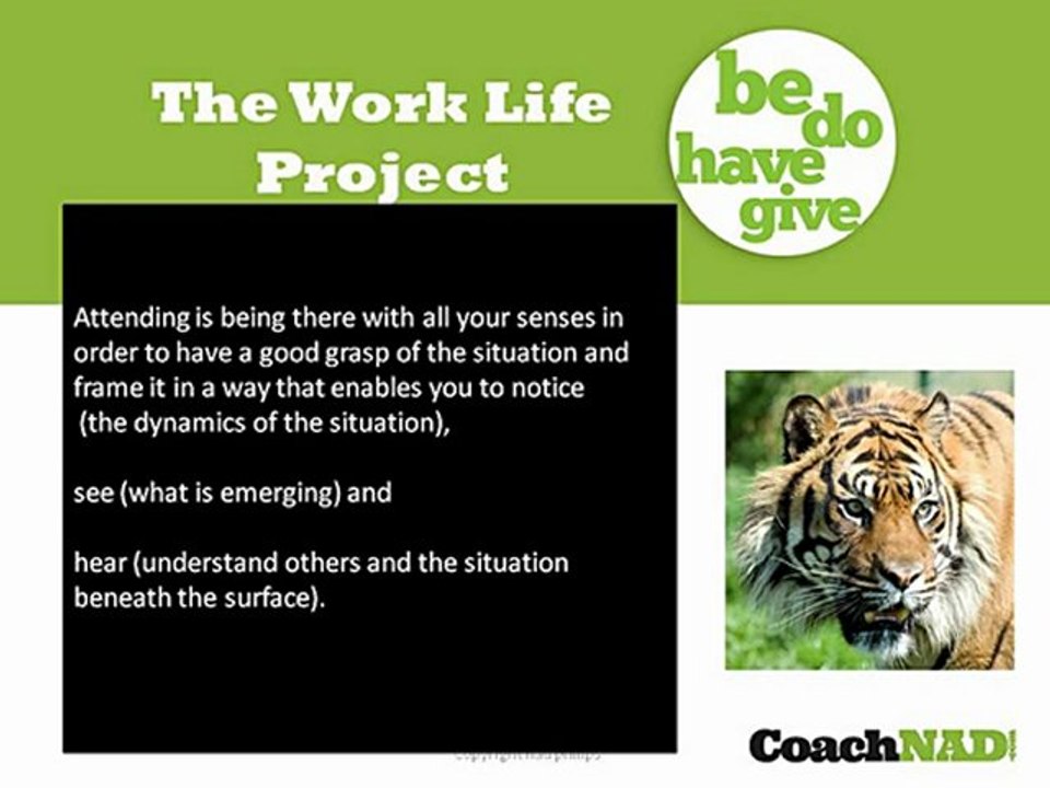 Career Change Advice | Why & How To Grow Your Presence