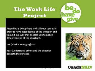 Career Change Advice | Why & How To Grow Your Presence