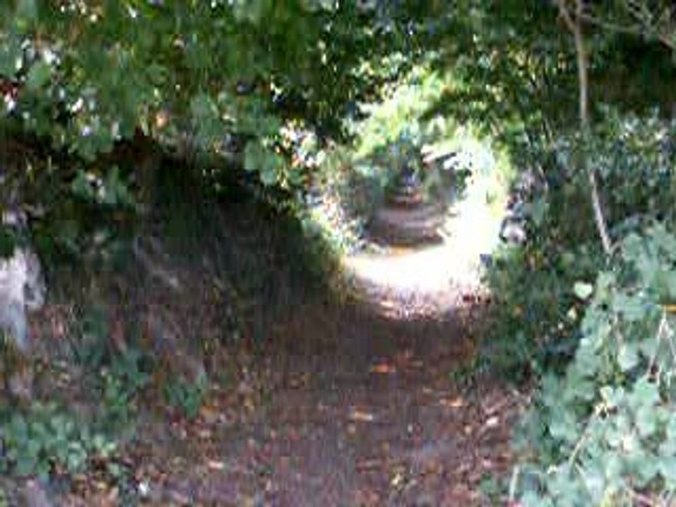 chemin creux