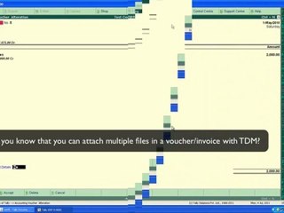 Tally Document Manager - (480 x 360)