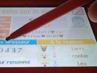 The plaster for games-Nintendogs