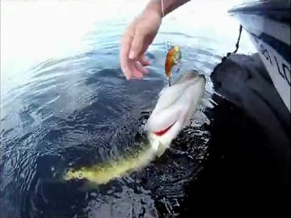 okeechobee PF 2