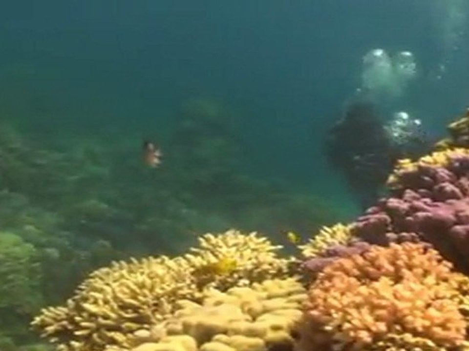 Arabia Azur Хургада Арабия Азур май 2011