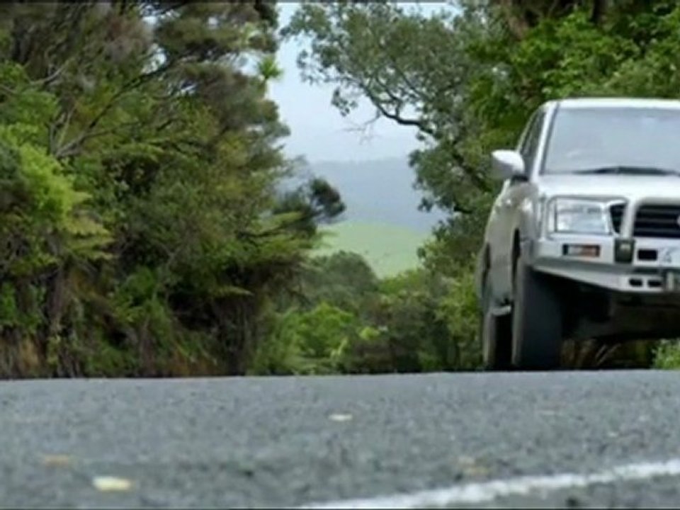 Au plus près des orques