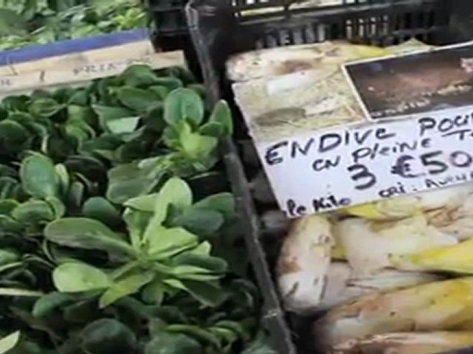 ENDIVES  - MARCHÉ DE BRIVE