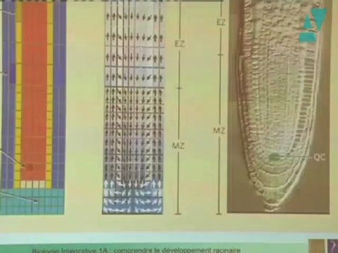 Biologie intégrative de la plante - Jean-Denis Faure