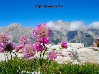 Kemal Şimşek Ya Muhammed