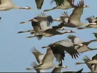 La face sauvage des Pyrénées - La saison des couleurs