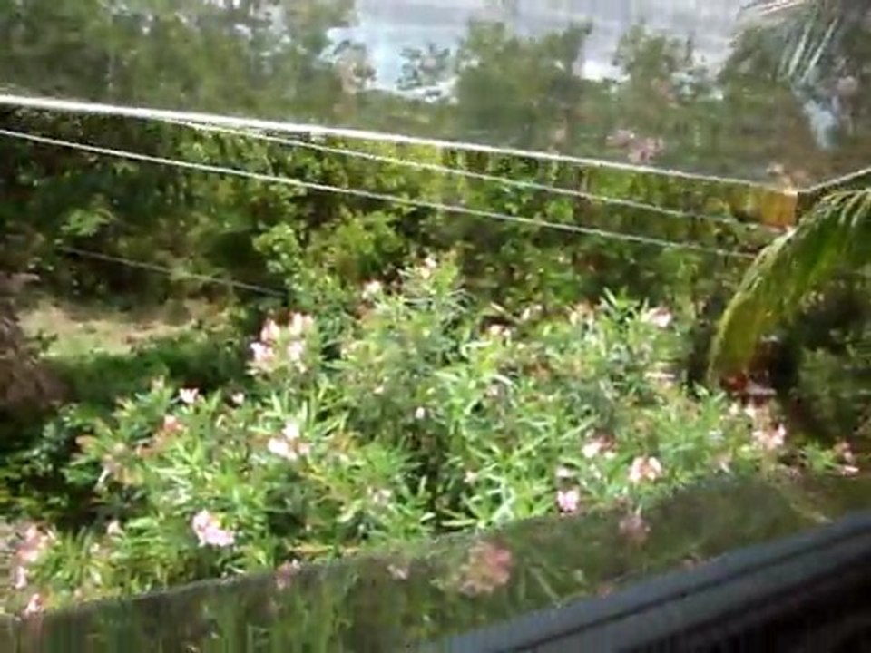 Anguilla-Looking through the window 002