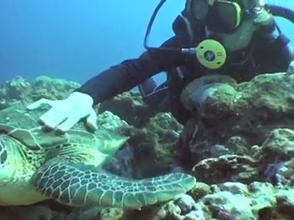 Hèlène et les poissons