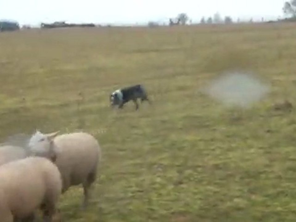 reprise du travail après trois semaines de vacances